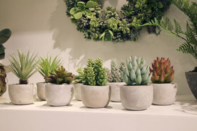 Creative Tips to Revamping Your Space with Faux Succulents