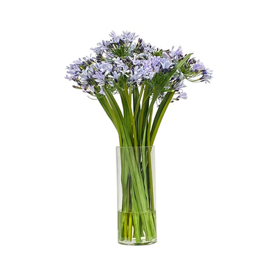realistic faux agapanthus flowers in tall glass vase