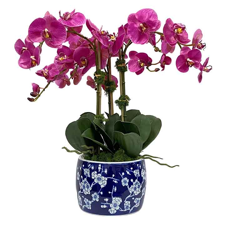 Faux Orchid in Blossom Planter 22" Fuchsia