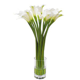 Calla Lily in Cylinder Vase 29"