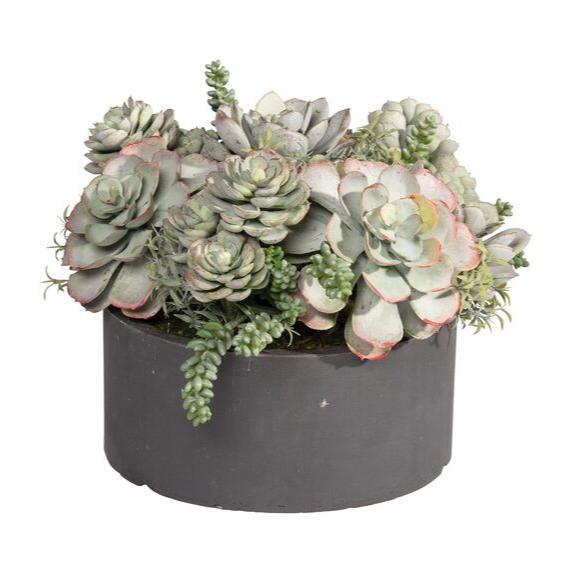 artificial large succulents Luxury Realistic Faux Mix Succulent in Round Tray 9" Home Decor
