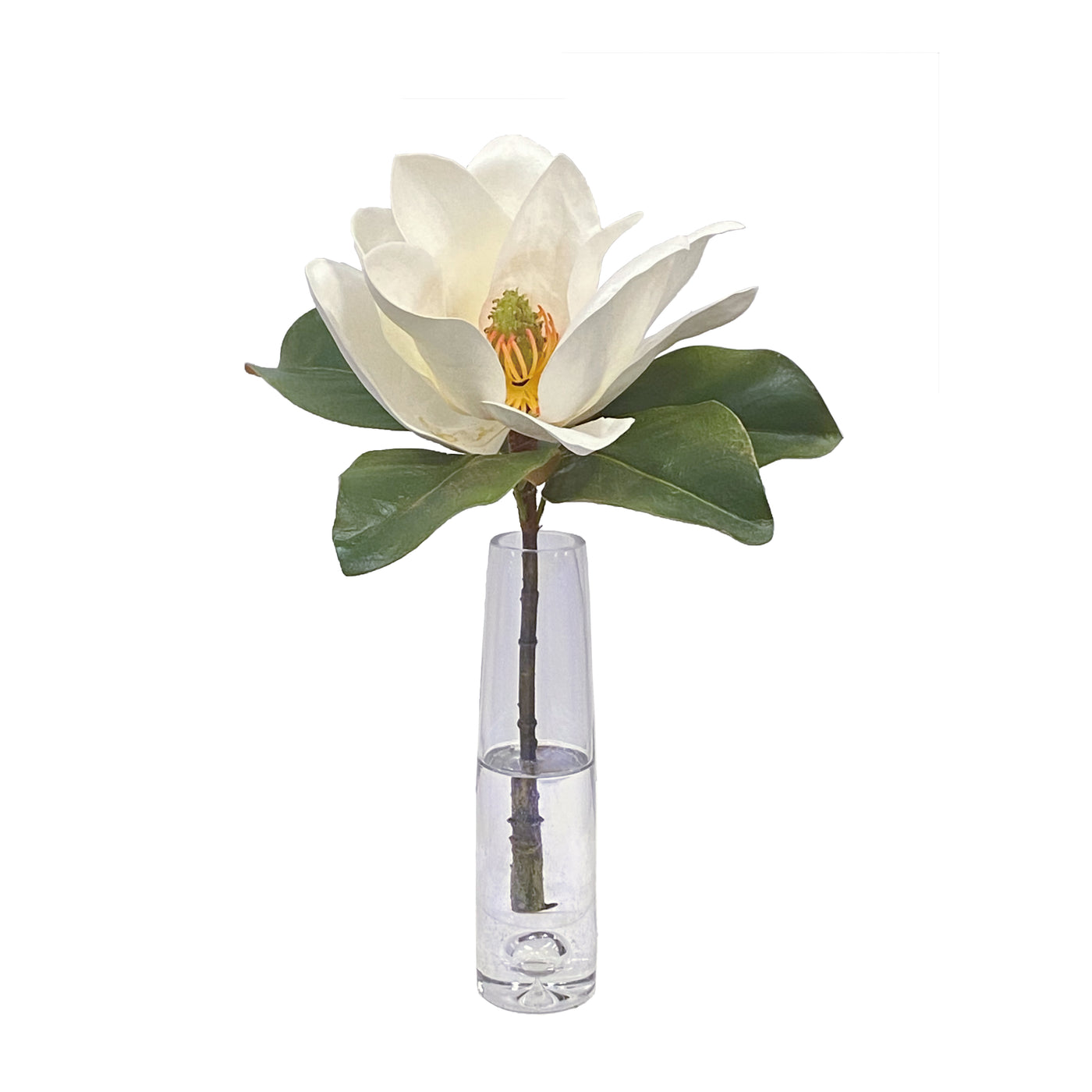 Magnolia in Vase 17"
