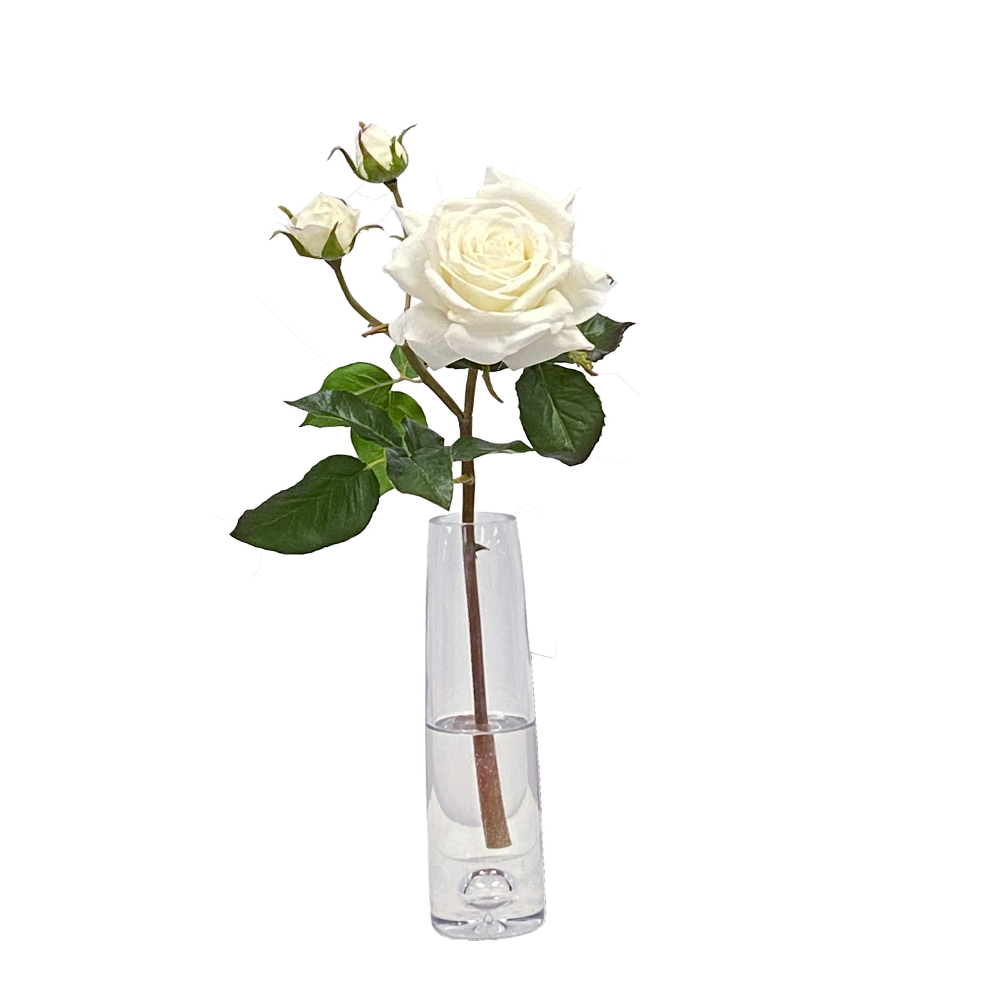 English Rose in Vase 19"