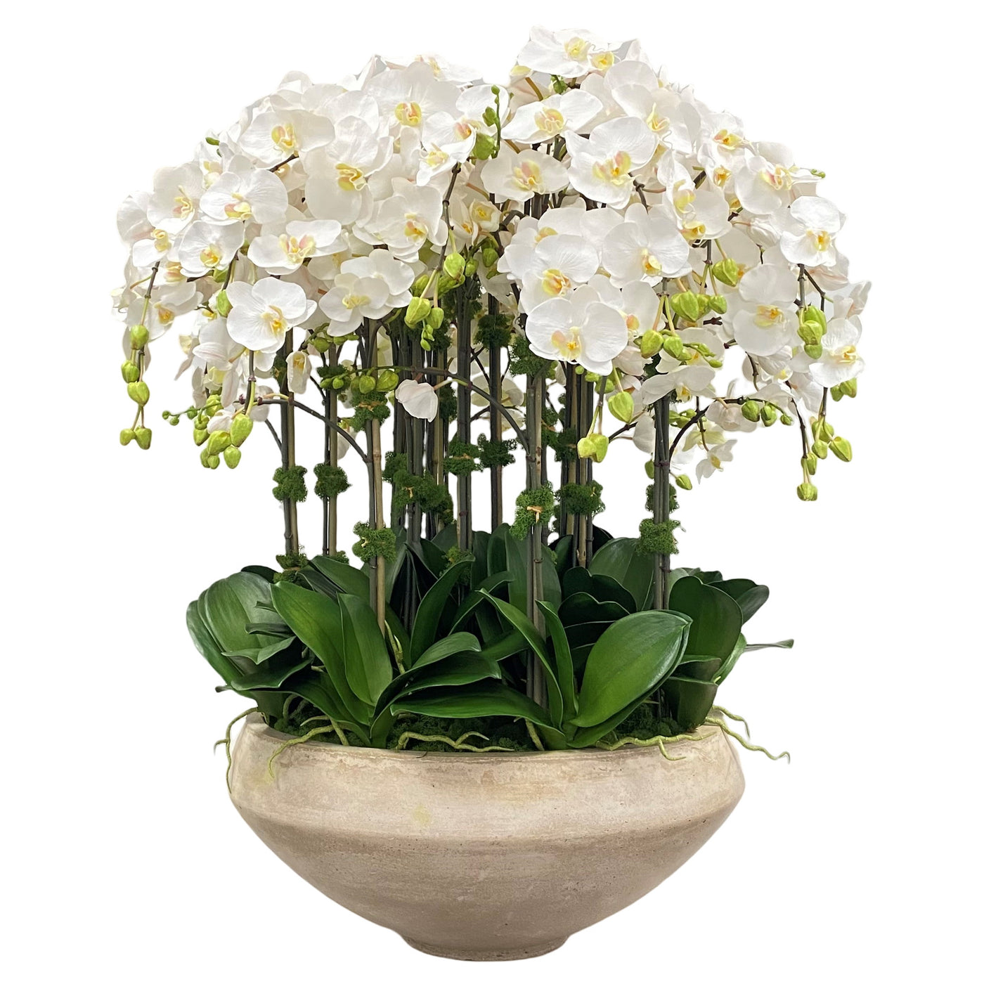 large deluxe luxury faux orchid arrangement for grand foyers and entryways