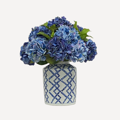 Hydrangeas