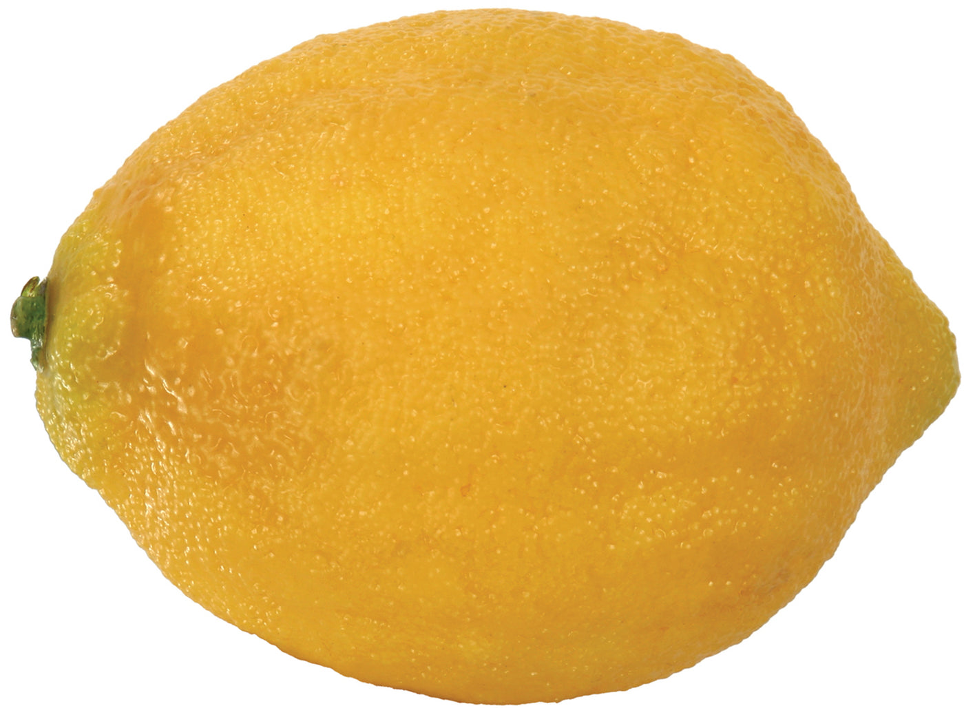 Lemon Eureka (set of 12)