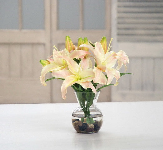 Casablanca Lily in Vase