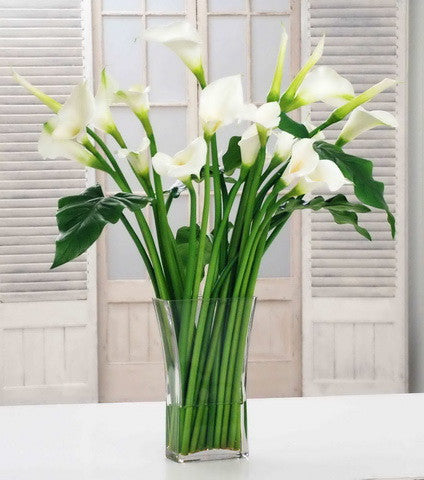 Calla Lily in Square Vase