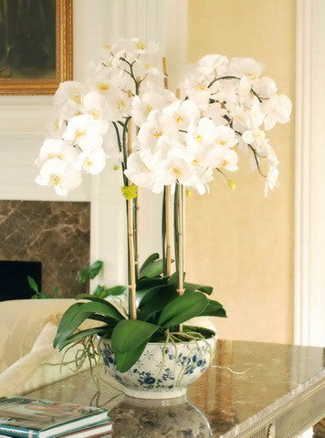 PHALAENOPSIS IN ROSE TRELLIS BOWL (DP766-WH) - Winward Home faux floral arrangements