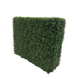 Boxwood Hedge 44" wide