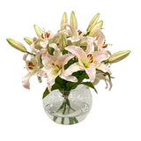 Casablanca in Glass Bowl 16"