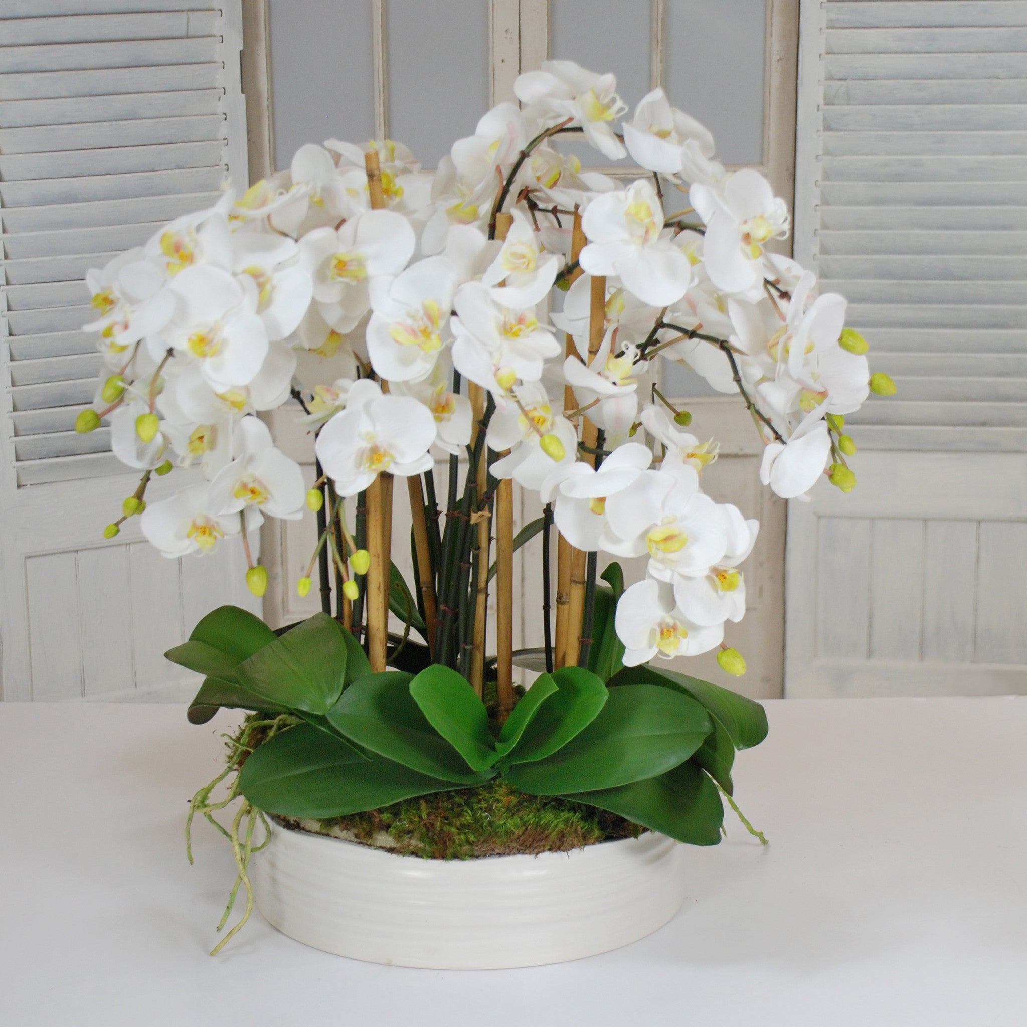 Orchids in Urban Coil Bowl | Winward Home Finest Permanent Botanicals
