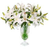 LILY CASABLANCA IN STRIPE CUT VASE 31"