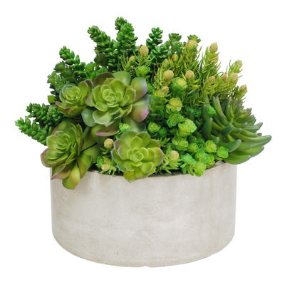 succulent height Succulent Tall Garden Planter 14" Light Grey