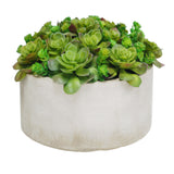 SUCCULENT GARDEN PLANTER (WHD203-GRTP)