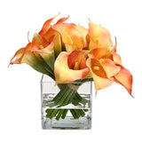 DUAL CALLA IN CUBE (WHD242-OR)