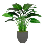 TRAVELERS PALM IN STONECAST POT 4'