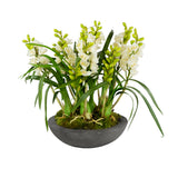 ORCHID CYMBIDIUM IN PLANTER 27"