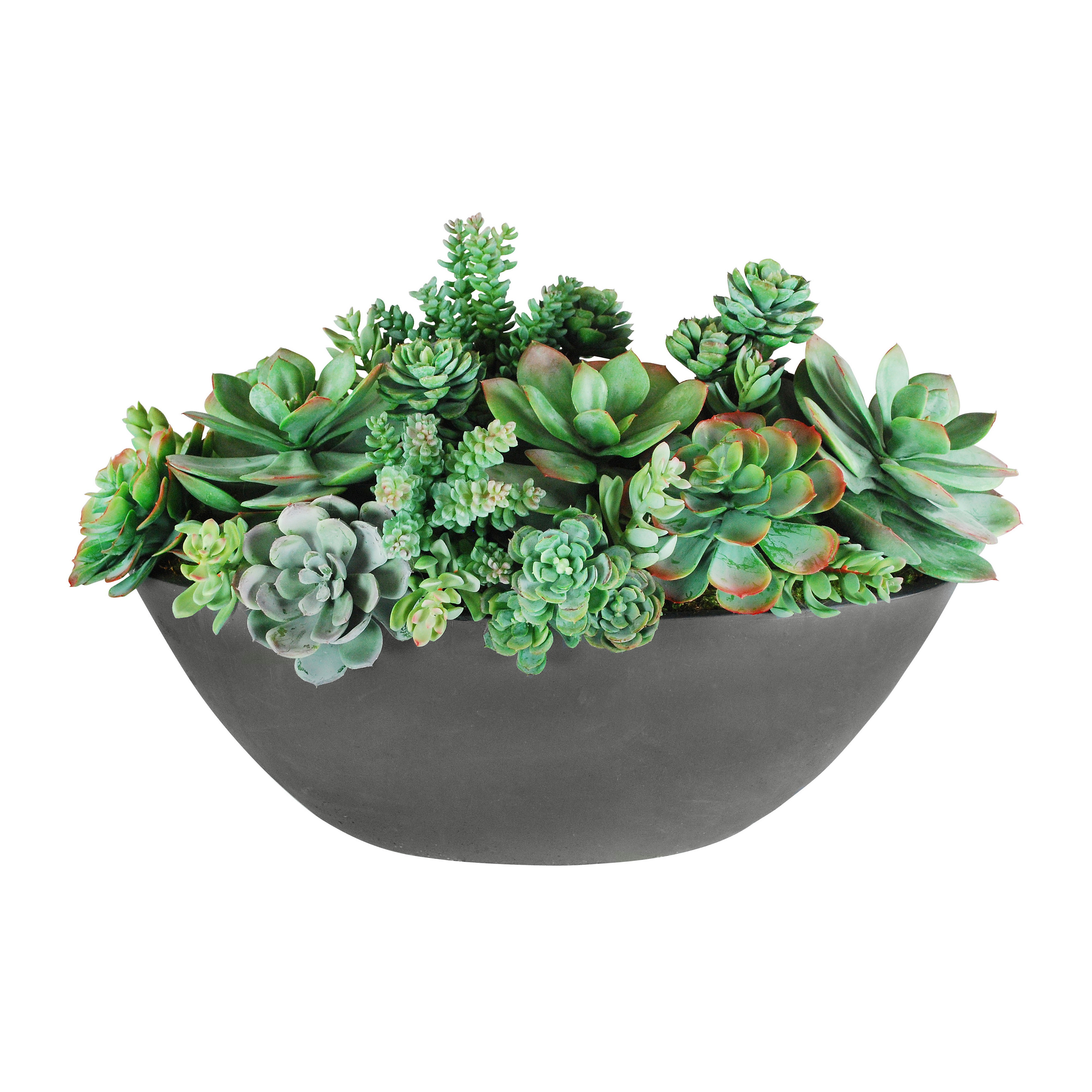 large succulent pots Faux Succulent Mix in Oval Planter 14" Light Grey