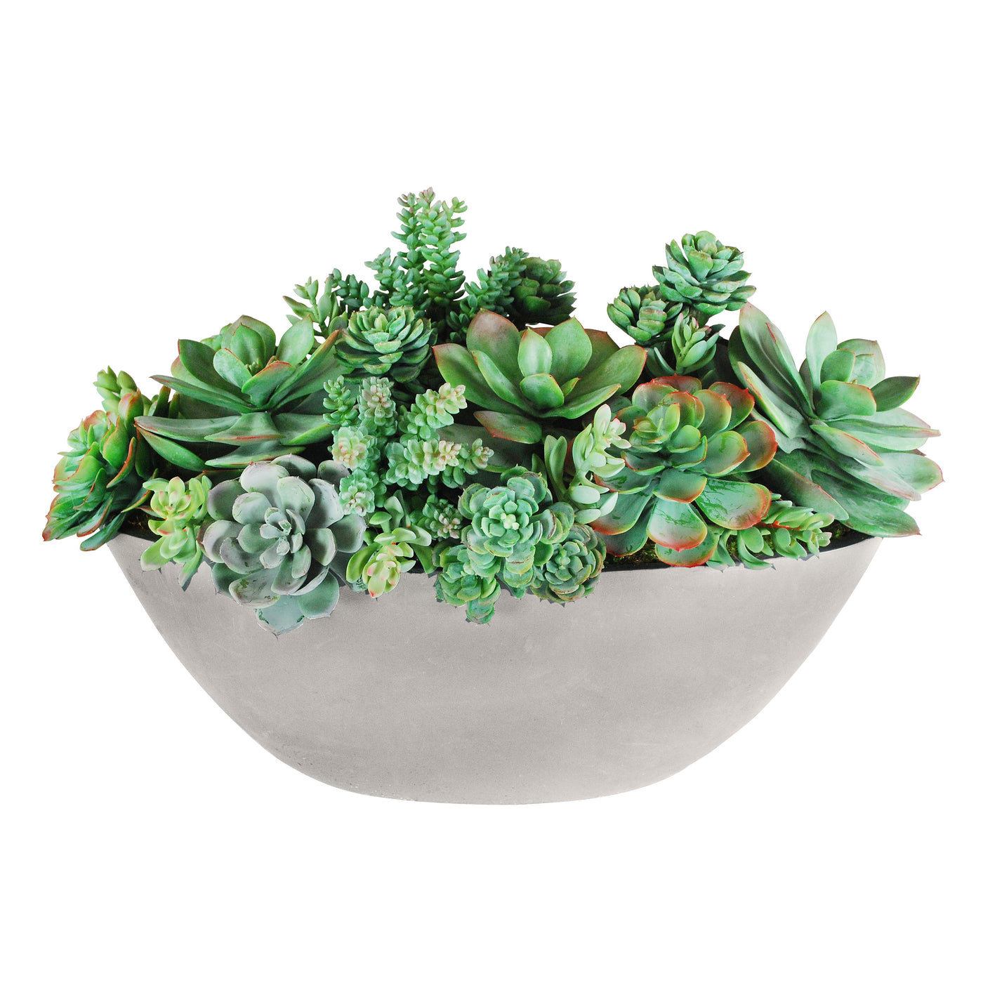 SUCCULENT MIX IN OVAL PLANTER 14''