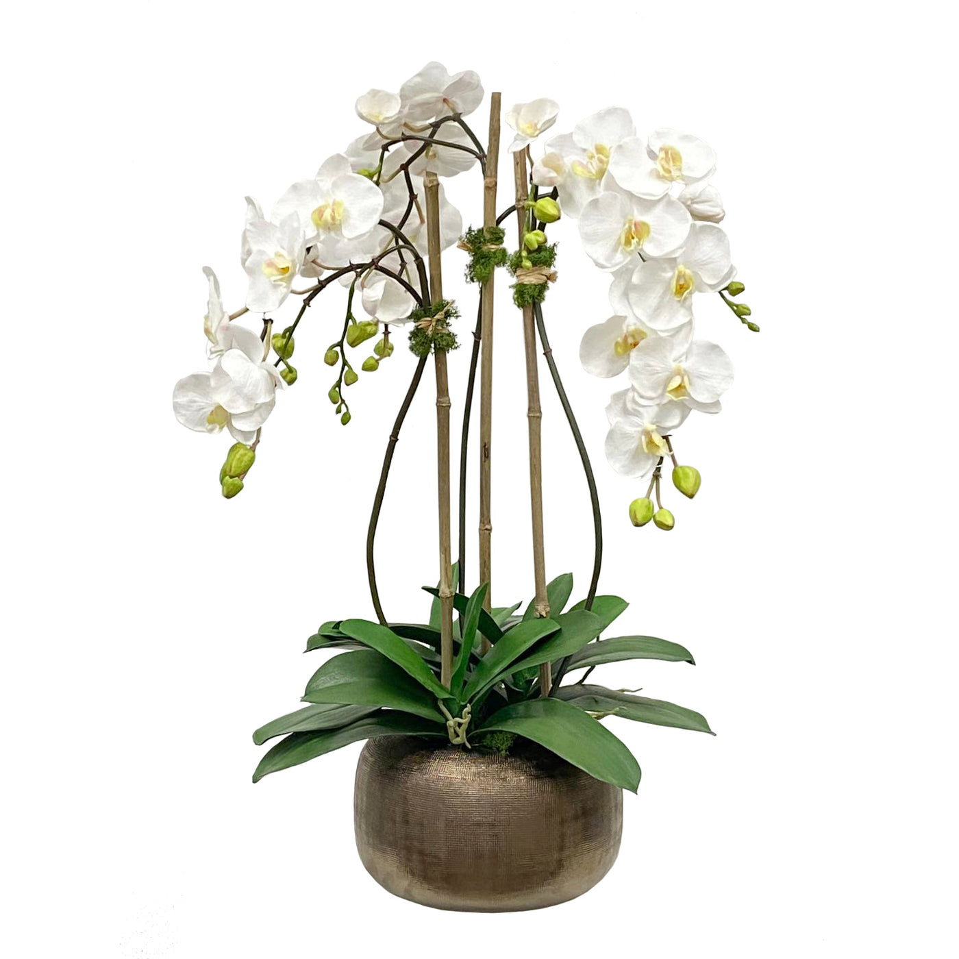 ORCHID IN ANTIQUE POT 28"