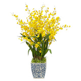 Dancing Orchid in Cache Pot 35"