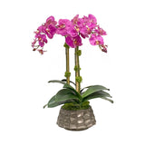 ORCHID IN MODERN POT (WHD388-FU)
