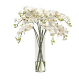 White cascading orchid arrangement in a tall slim glass vase