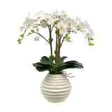 Orchid in Beehive Pot 27"