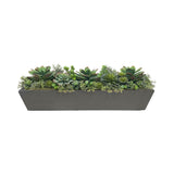 SUCCULENT MIX IN LONG TROUGH PLANTER 30" WIDE