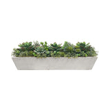 Mixed succulents in a contemporary long trough planter, light grey