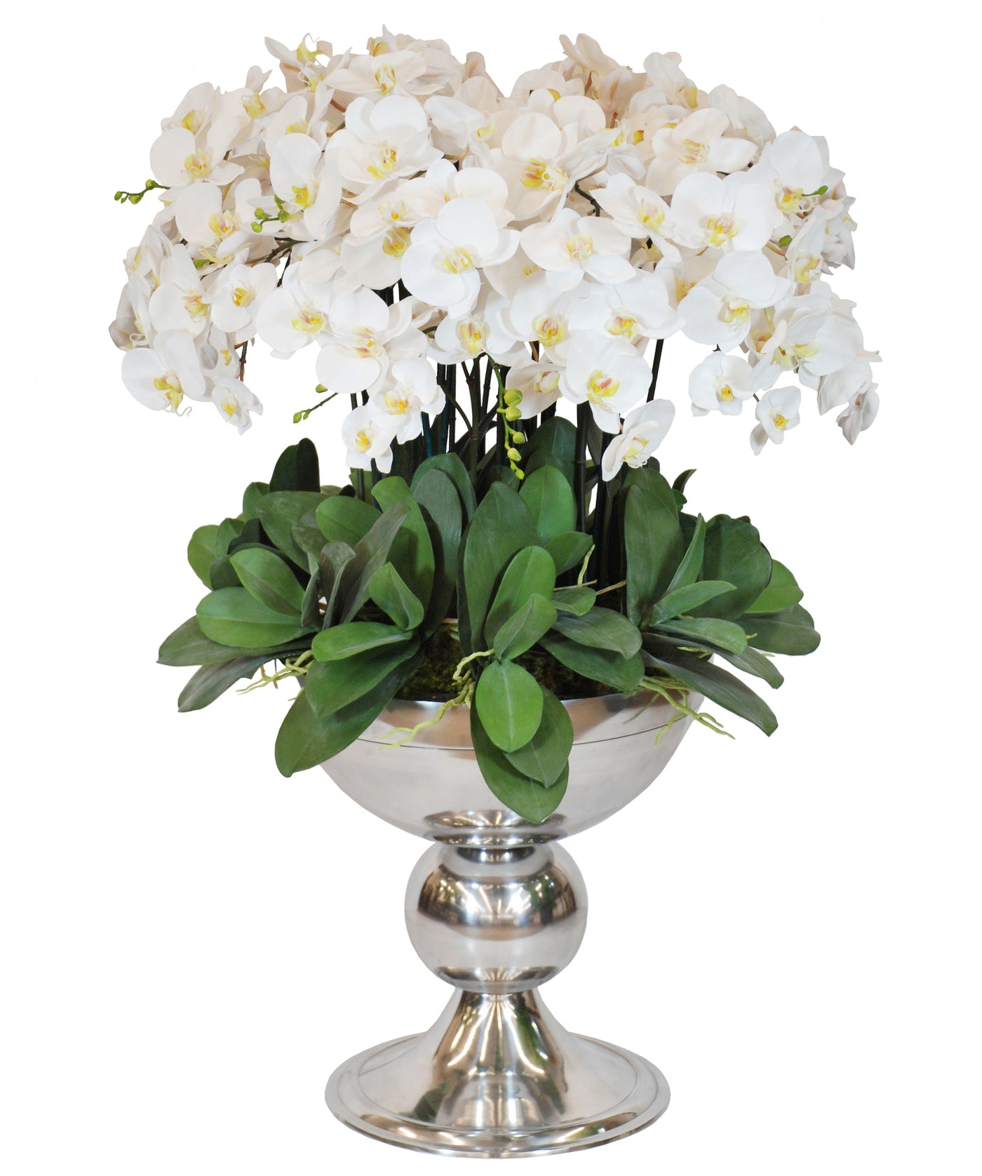 WHITE ORCHID ICON IN SILVER CONTAINER 48"