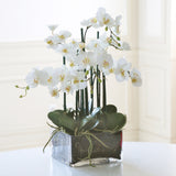 Faux Phalaenopsis orchid arrangement in square glass vase with lifelike white blooms and modern styling