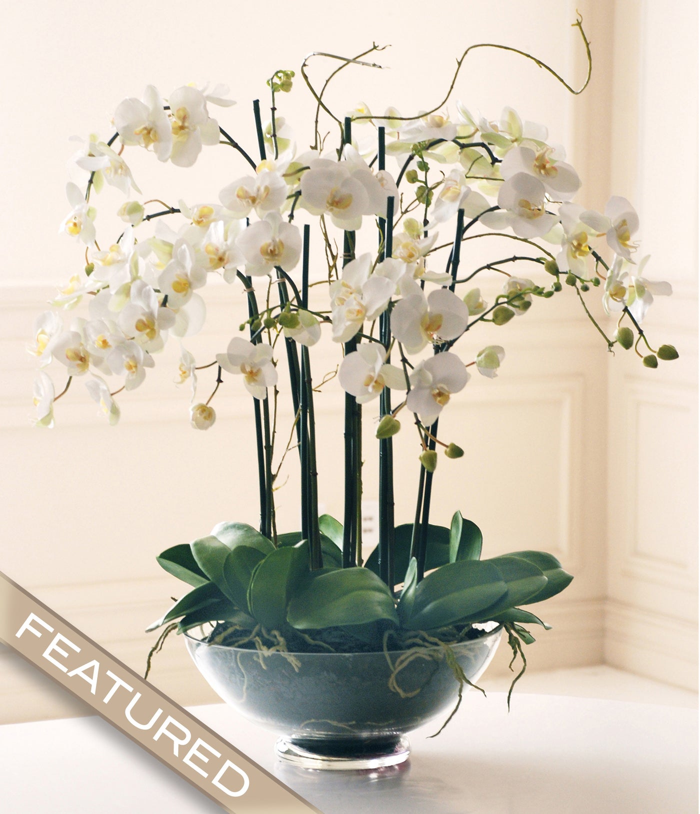 PHALAENOPSIS IN GLASS (WHP91053-WH) - Winward Home silk flower arrangements