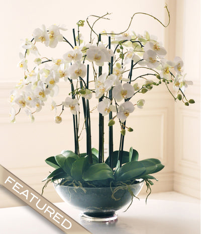 PHALAENOPSIS IN GLASS (WHP91053-WH) - Winward Home silk flower arrangements