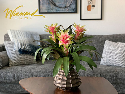 10 Amazing Decorating Trends to Try Right Now