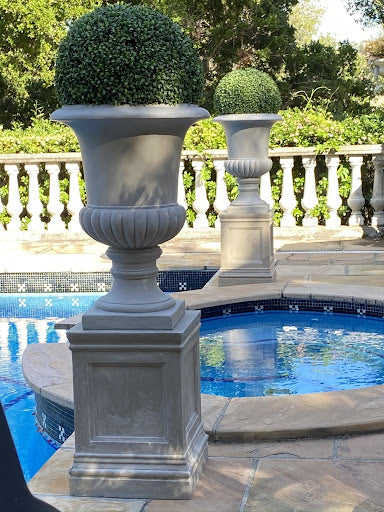 Elevate Your Outdoor Space: The Allure of Outdoor Patio Plants