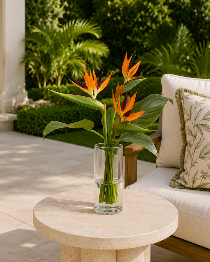 Bird of Paradise in Vase Medium 22