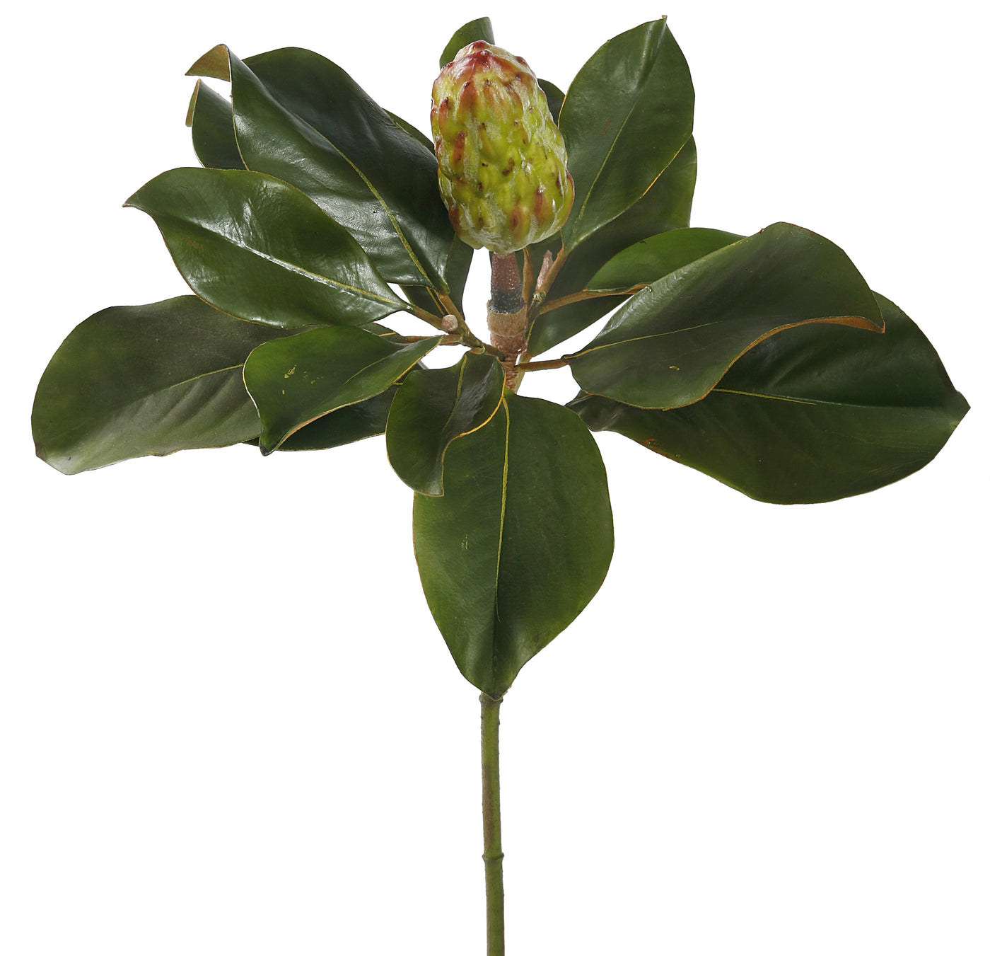 realistic faux magnolia bud with lush green leaves