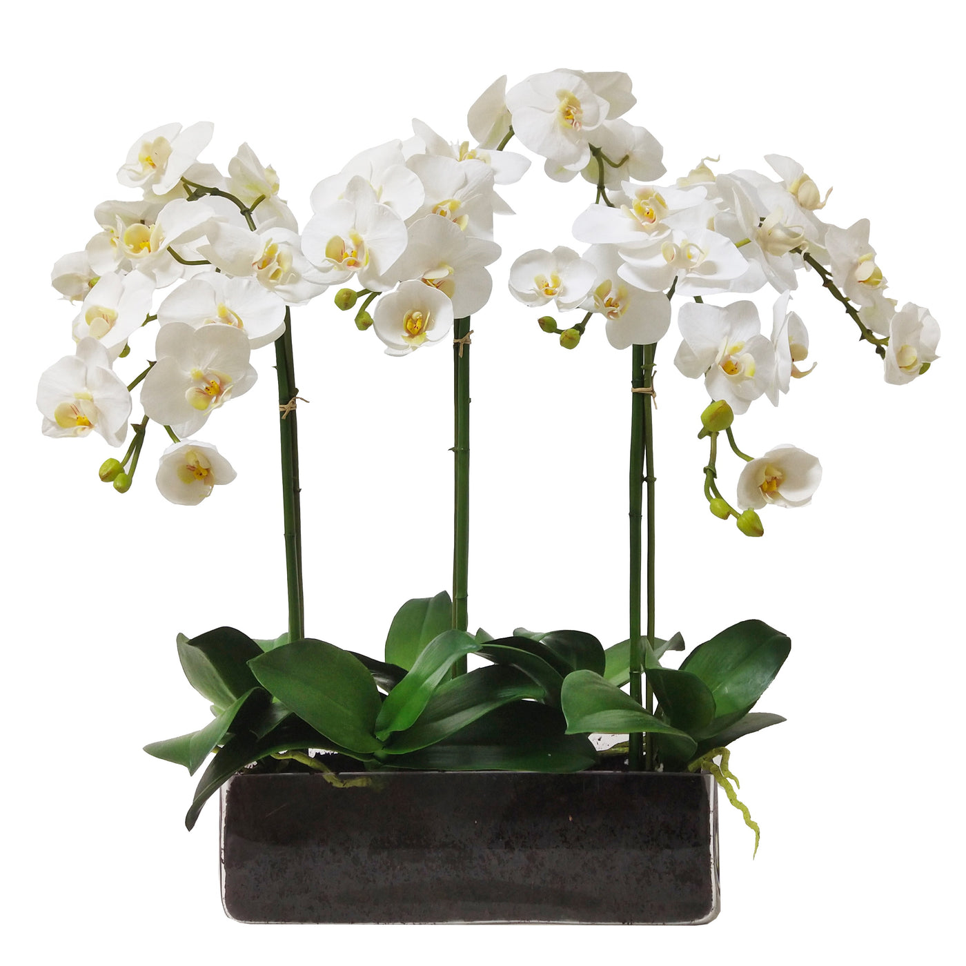 High-quality luxury faux orchid phalaenopsis in glass floral arrangement supported with bamboo in two-tone white