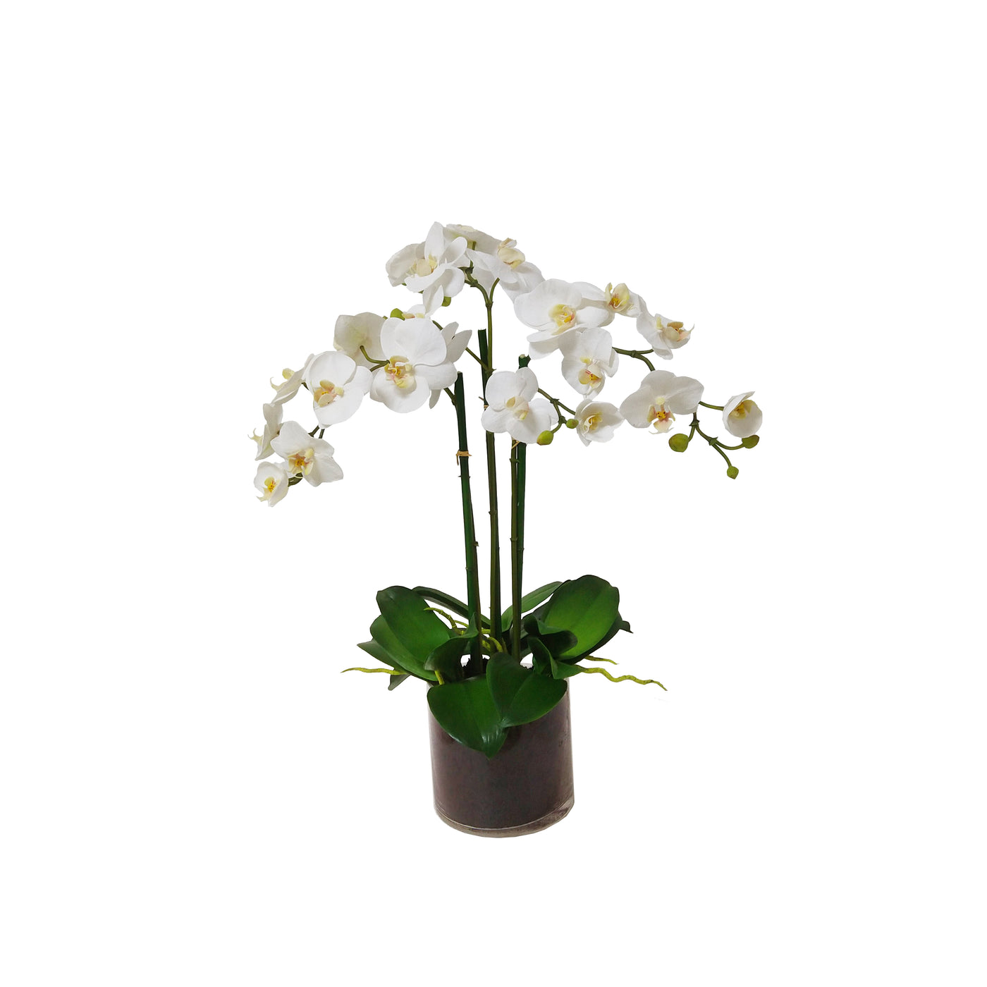 High-quality luxury faux orchid phalaenopsis in glass floral arrangement supported with bamboo in two-tone white