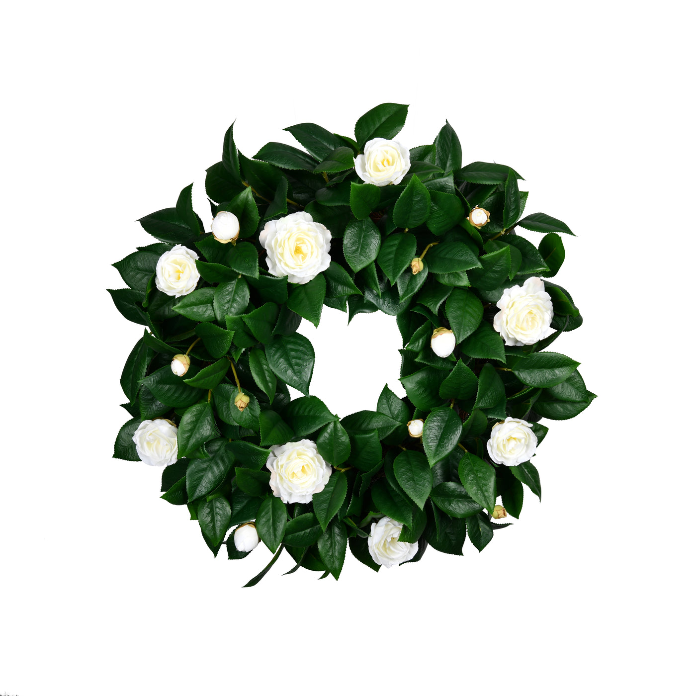 26" high-quality beautiful green camellia leaves and white  camellia flowers faux wreath on white background 