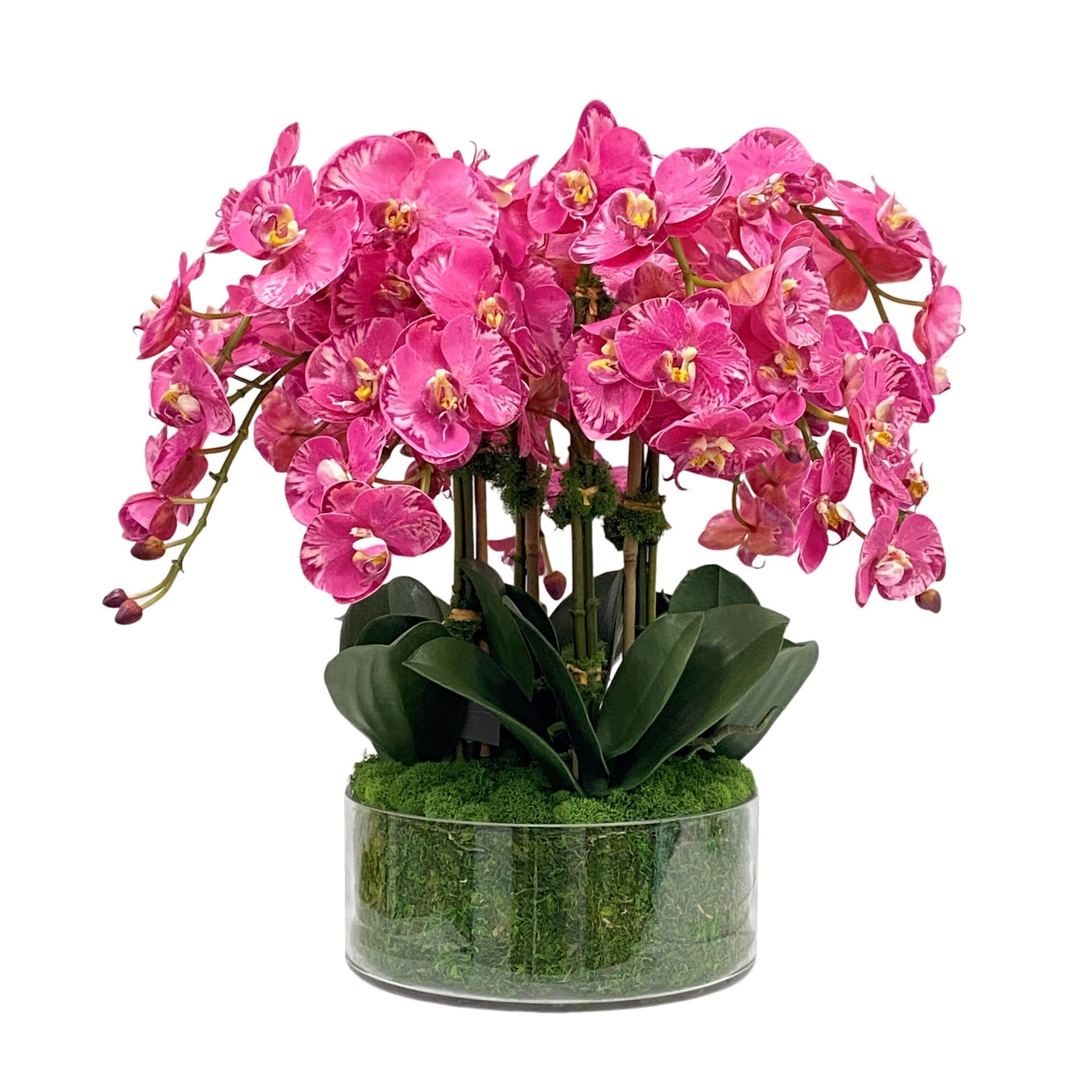 High-quality luxury faux phalaenopsis in open glass cylinder vase floral arrangement supported with bamboo. Pink and purple hued flowers in vase placed against white background.