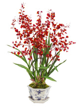 Faux burgundy Oncidium Dancing Lady orchid arrangement in blue and white porcelain planter