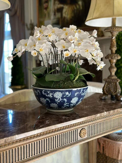 Orchid in Longlife Bowl 19"