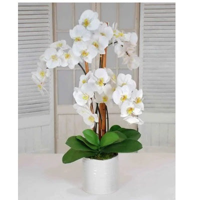 Orchids in Urban Coil Bowl 34"
