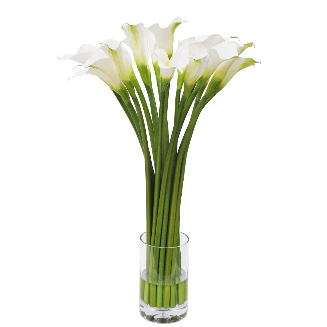 Calla Lily in Cylinder Vase 29"
