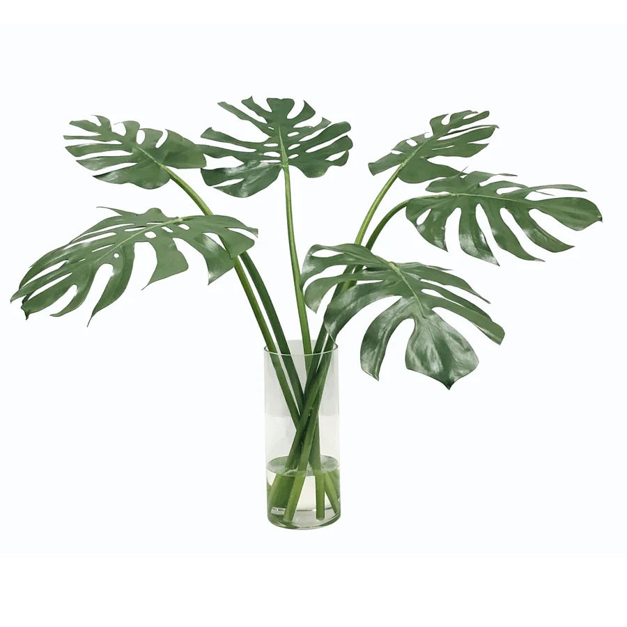 MULTI MONSTERA IN VASE 31"