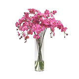 Fuchsia orchid arrangement in a tall slim glass vase