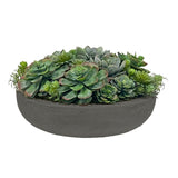 Succulent Mix in Round Bowl 7"